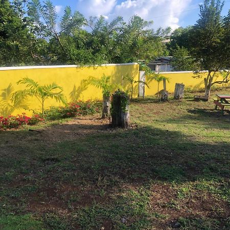 Hotel Pura Vida Jamaica Falmouth Zewnętrze zdjęcie