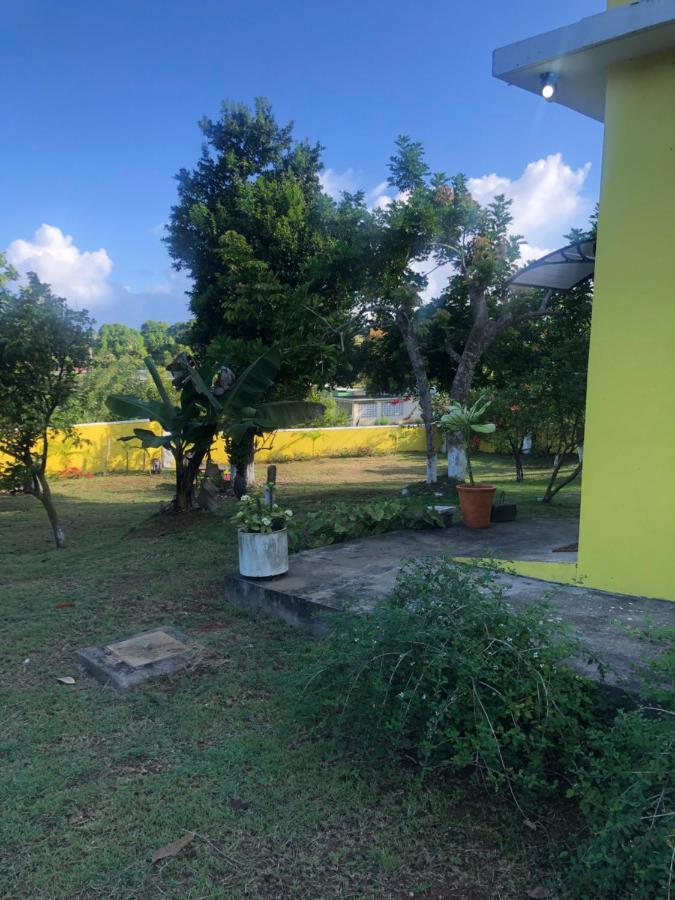 Hotel Pura Vida Jamaica Falmouth Zewnętrze zdjęcie