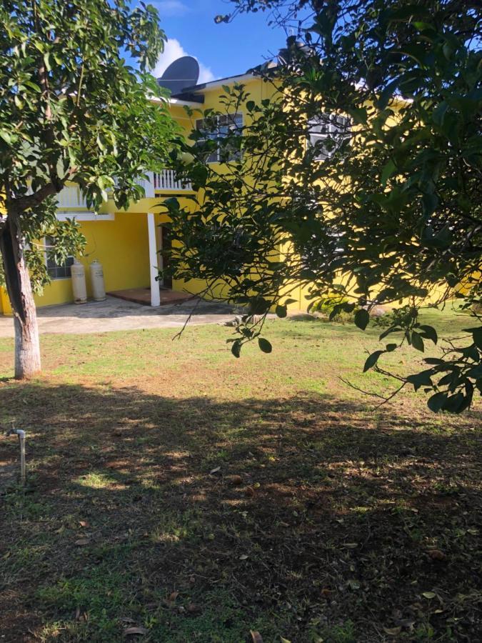 Hotel Pura Vida Jamaica Falmouth Zewnętrze zdjęcie